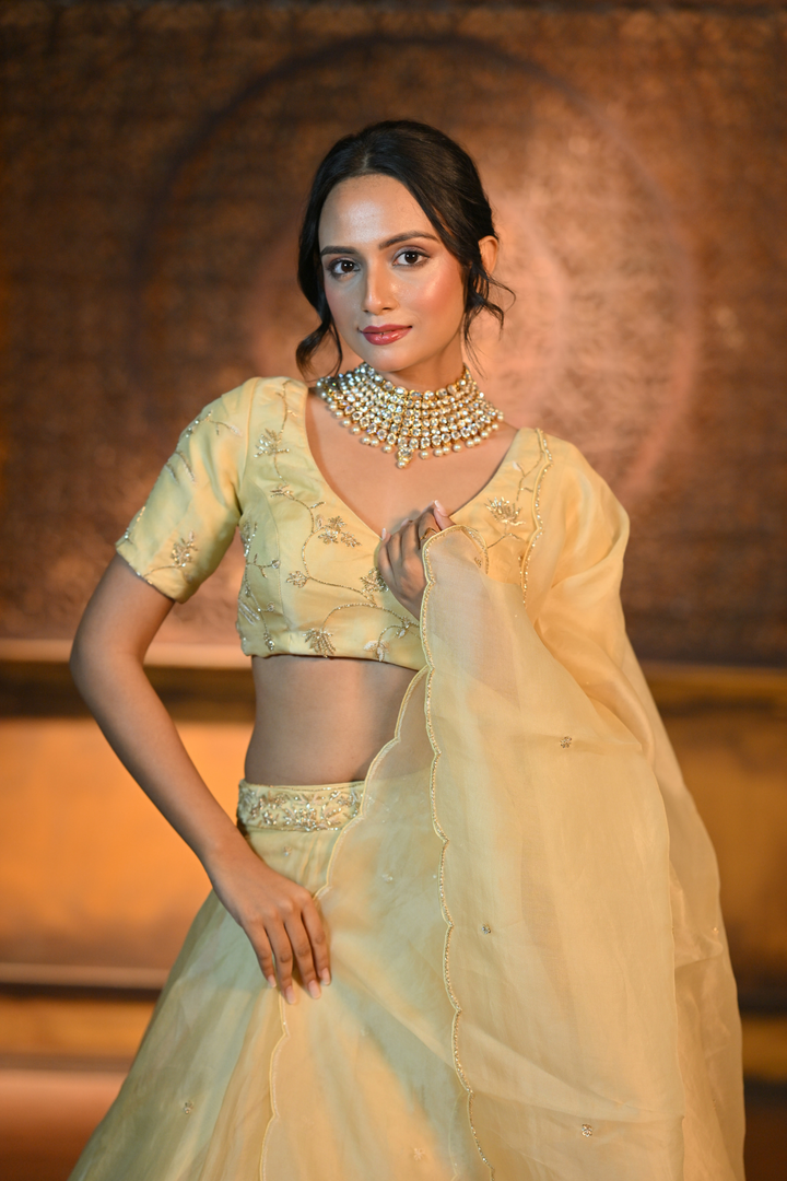 PASTEL YELLOW LEHENGA WITH BLOUSE AND DUPATTA (Customize Request)