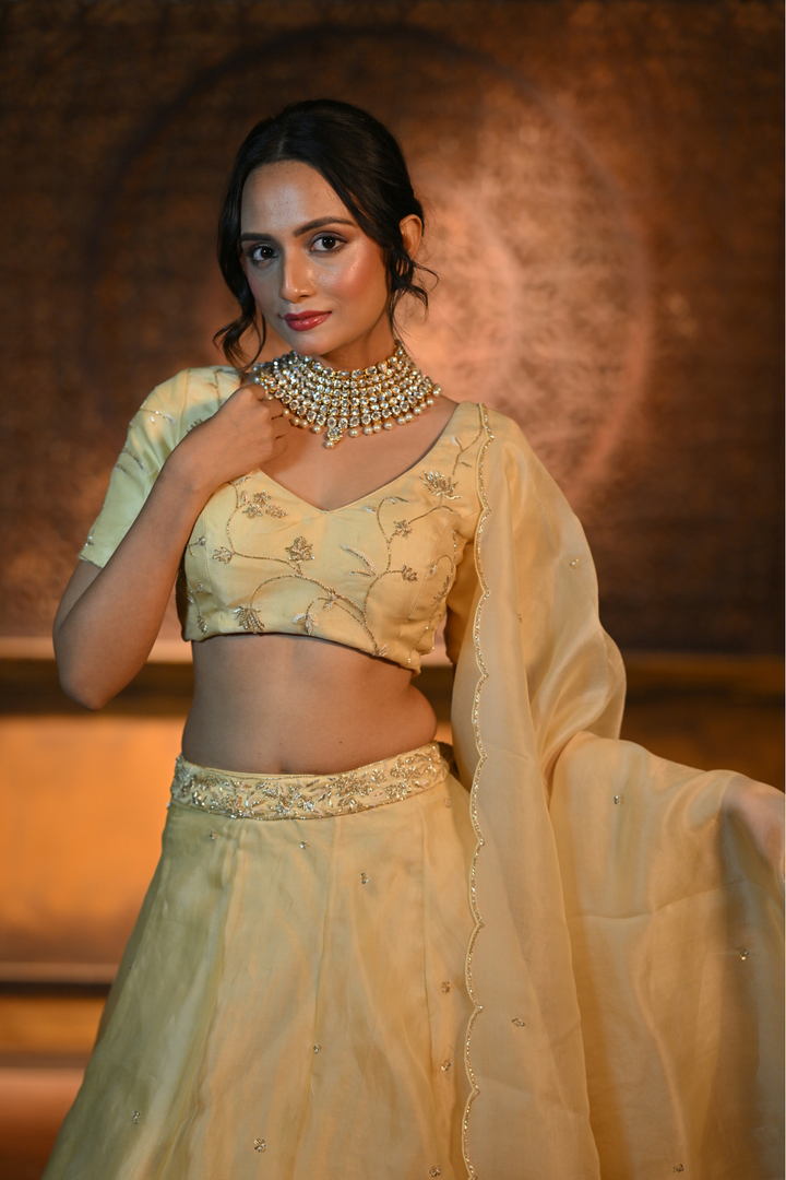 PASTEL YELLOW LEHENGA WITH BLOUSE AND DUPATTA (Customize Request)