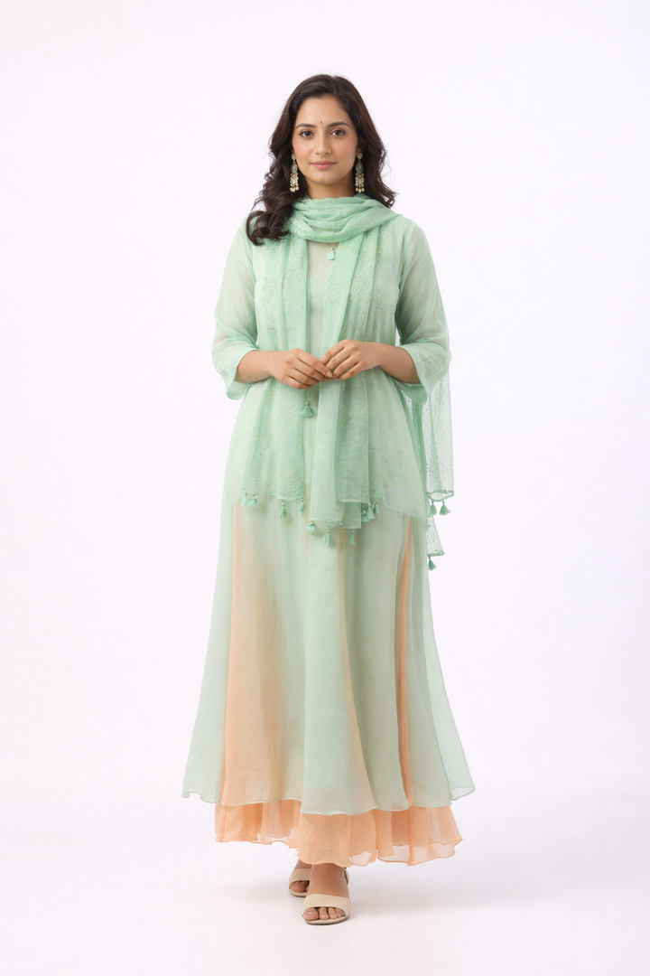 Buy Mist Green Chiffon Gown with Chanderi Dupatta